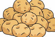 ジャガイモ「揚げても煮ても茹でても美味しいです！勿論、焼いても美味いです！」←コイツ