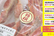 【朗報】日本政府「カニとサーモンは国民のみんなが食いたいから禁輸しない」