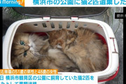 「妻の母が飼っていた猫で愛情がなかった」 猫二匹を公園に捨てた夫婦を逮捕