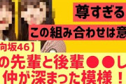 【日向坂46】尊すぎる先輩後輩の交流が報告される！