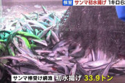 【朗報】 サンマの初水揚げ、大漁！