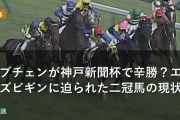 ロブチェンが神戸新聞杯で辛勝・・エムズビギンに迫られた二冠馬の現状
