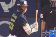 村上さん、打率から失策まで実に11冠