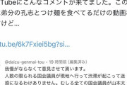 【悲報】覚醒ゆたぼん vs 極限れいわ支持者、開戦してしまうｗ