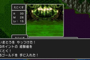 【悲報】外国の友人「なんでJRPGは魔物がニンゲンのお金落とすんだい？🤣」