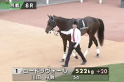 3歳馬また故障　ロードラヴォール骨折