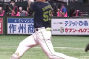 村上宗隆(22).301(リーグ4位)19本(リーグ1位) 53打点(リーグ1位)OPS1.065(リーグ1位)