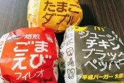 【画像】マクドナルドドカ食いするぞｗｗｗｗｗ【平成バーガー】