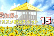 愛知で夜景きれいなところってある？