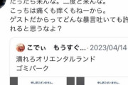 【悲報】自称東京ディズニーランドのキャストさん、Twitterでゲスト相手に大暴れｗｗｗ