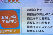【悲報】NHK、Temuを大絶賛してしまう