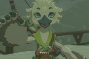 ゼルダティアキンで一番かわいいチューリとかいう賢者ｗｗｗｗｗ