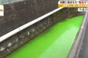 【動画】一体なぜ？生駒市の竜田川が蛍光グリーン色に染まる　奈良