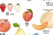 外国人「日本の季節の果物一覧をイラストにしてみたよー」