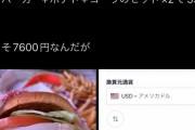 【画像】アメリカの3600円もするハンバーガーセット、マジでヤバすぎる…