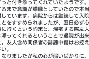 【画像】「自殺未遂騒動」を起こした人気VTuberみけねこ、長文でお気持ち表明へ…