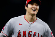 大谷を一人送り込んだら壊滅しそうなスポーツ