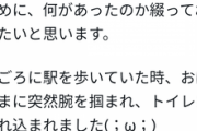 【悲報】『着物警察』に捕まった女さん、トイレに連れ込まれ服を脱がされてしまう…