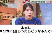 【動画】中国出身女優「日本は中国の支配下になったらいいじゃないですか」