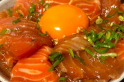 【画像】ワイが作ったスタミナサーモン丼、美味い！！！