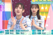 【日向坂46】うおおお！次回のひなあい、完全神回確定ｷﾀ━━━━(ﾟ∀ﾟ)━━━━!!