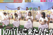 【日向坂46】これはほぼ"ひなあい"w「どうぶつピース」に続々とメンバーｷﾀ━━(ﾟ∀ﾟ)━━!! 厳しめの若林さんからまさかのムチャ振りもwww