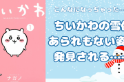 こんなになっちゃった……ちいかわの雪像があられもない姿で発見「キメラ化したか」