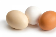 【悲報】卵、高級品になる　貧乏人はどうやってタンパク質取ればいいんだよ