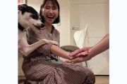 【動画あり】玉井詩織、堺小春の愛犬と…「こんなプライベートなお姿を…｣「みんな可愛い｣「一体感」