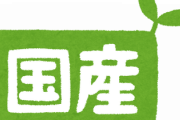 【疑問】逆に日本製でダメなものってあるん？