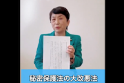 【セキュリティクリアランス】社民・福島みずほ「国民総身辺調査法案・秘密保護法大改悪法案は、大問題です！」←デマ乙（動画）