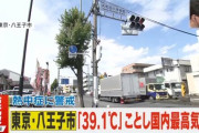 東京都心39℃ｗｗｗｗｗｗｗｗｗｗｗｗｗｗｗｗｗｗｗｗｗｗ