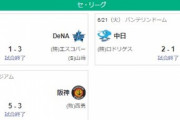 【6/21セ順位スレ】ヤ=========巨===-広=神中De