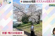 【日向坂46】このちゃんと桜