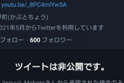 自称Vチューバー「ワクチンには塩化カリウムが入ってるから死ぬ～」