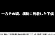 もちまる飼い主、野良猫を保護...獣医診察の一部始終を公開