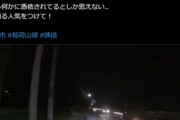 道路脇から四つん這い老婆が飛び出してくる動画が話題になってるけど これヤバすぎでしょ