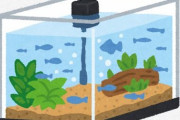 アクアリウムはじめたいんやが