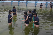 【画像】女子校のプール掃除ｗｗｗｗｗｗｗｗｗｗｗｗ
