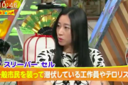 都知事選、維新の小野氏   東大卒業証書コピーを持参し「私も疑われてますかね？（笑）」と嫌味会見 6/10