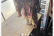 【画像】メルカリで呪いの人形が出品されてしまう