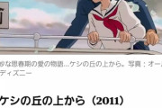 外人「ジブリ全作品をランキング化した。異論は認めない」