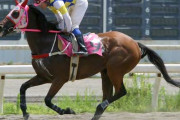 武豊がハルウララに「勝ってない馬が注目を集めるのはおかしい」と苦言を呈したのはかっこよかったよな