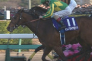 【競馬】サトノダイヤモンドが菊と有馬に続いて春天も制したらどうする？