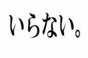 とにかくこれいらないって思ってることを挙げていくトピ