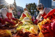 【韓国】150人でキムチ作り