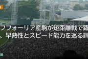 エフフォーリア産駒が短距離戦で躍動、早熟性とスピード能力を巡る評価