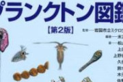 【速報】石油の作り方、発見される