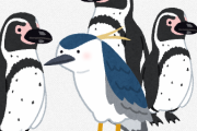俺「ペンギンコーナーにいるあのペンギンに似た鳥はなんだよwwww」おっさん「それは」