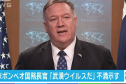 ポンペオ米国務長官「中国ふざけるな　武漢ウイルスだろ」